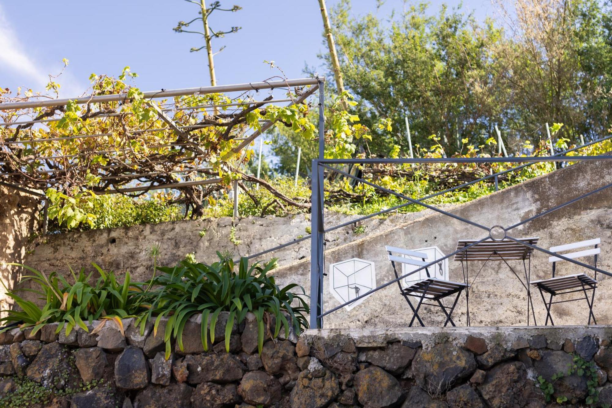 Ek Las Vistas Finca El Milagro La Orotava Εξωτερικό φωτογραφία
