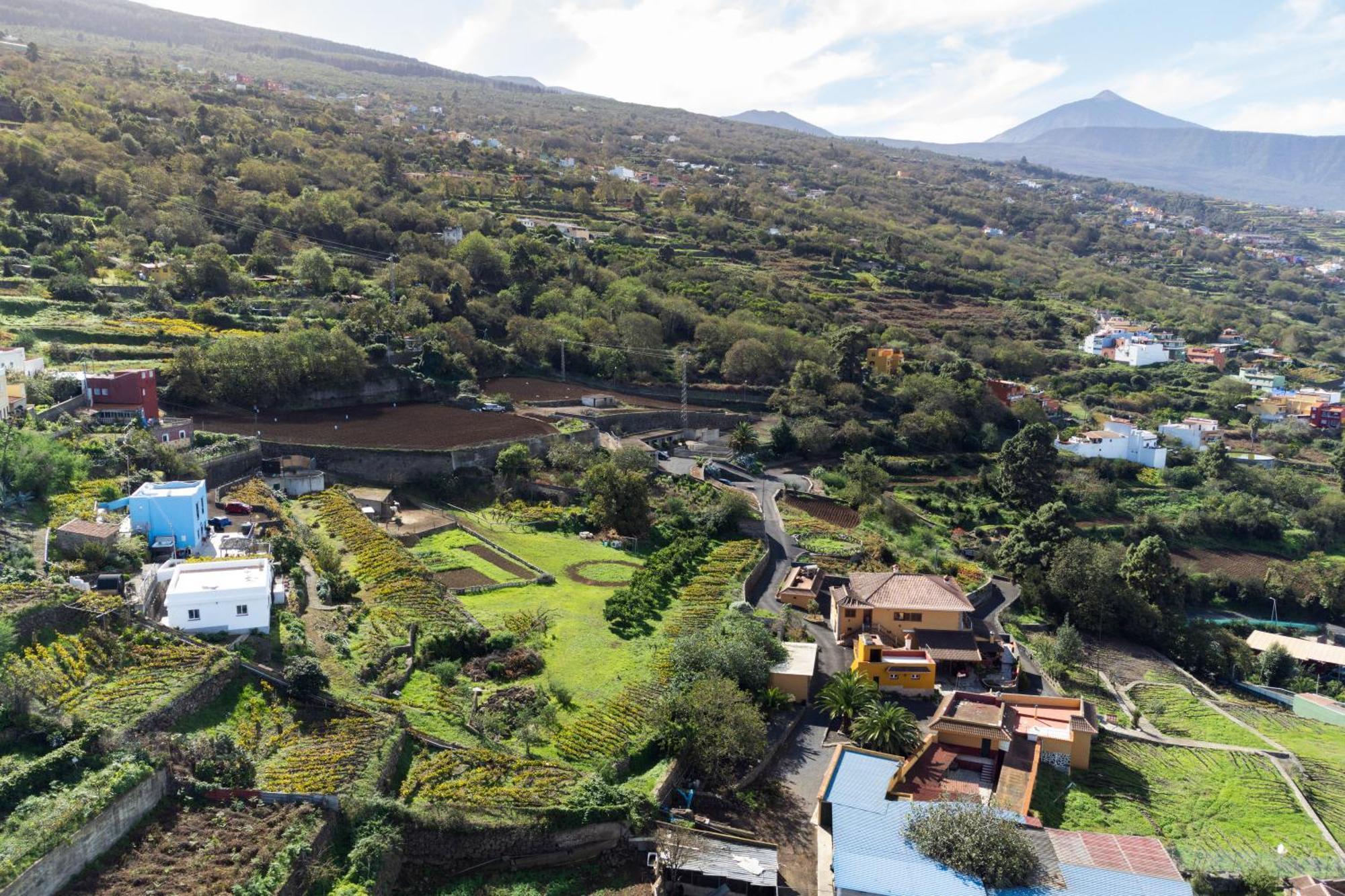 Ek Las Vistas Finca El Milagro La Orotava Εξωτερικό φωτογραφία