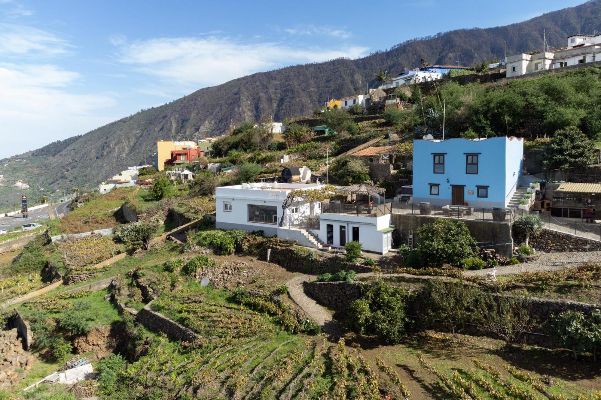 Ek Las Vistas Finca El Milagro La Orotava Εξωτερικό φωτογραφία