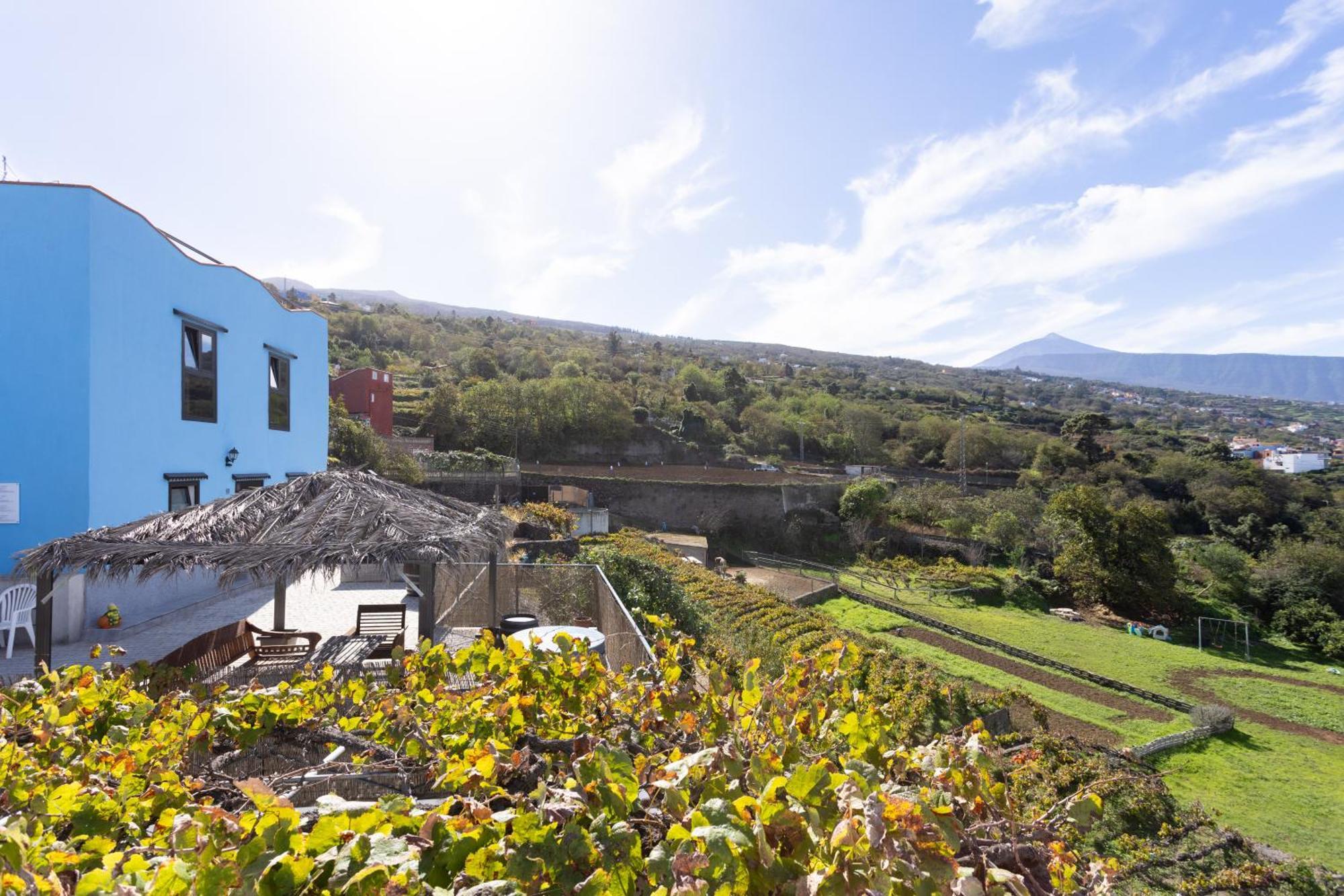 Ek Las Vistas Finca El Milagro La Orotava Εξωτερικό φωτογραφία