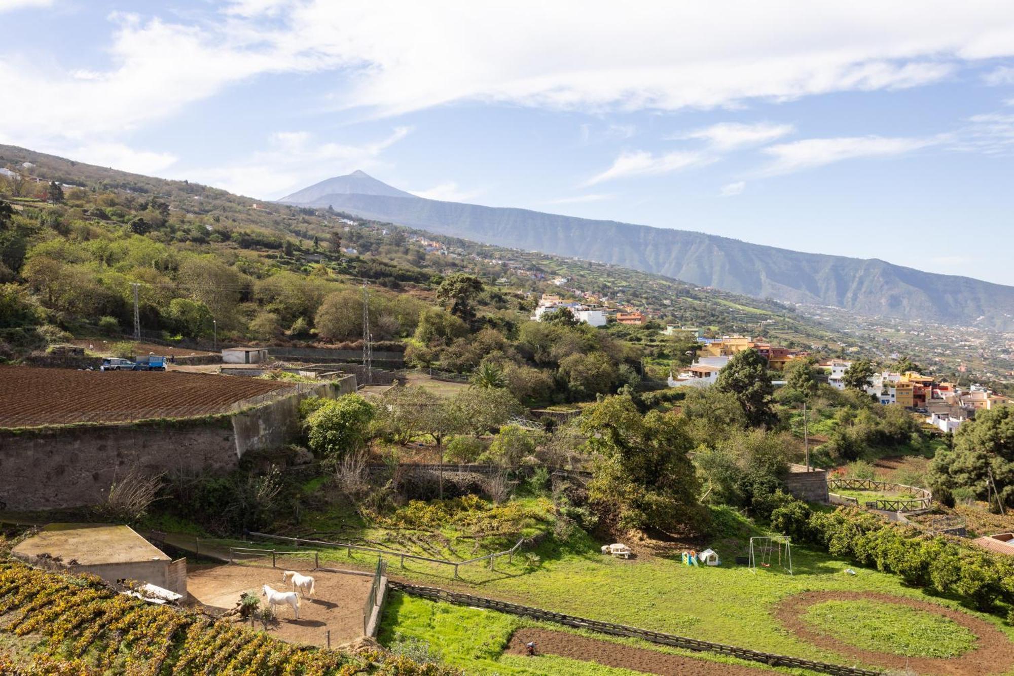 Ek Las Vistas Finca El Milagro La Orotava Εξωτερικό φωτογραφία
