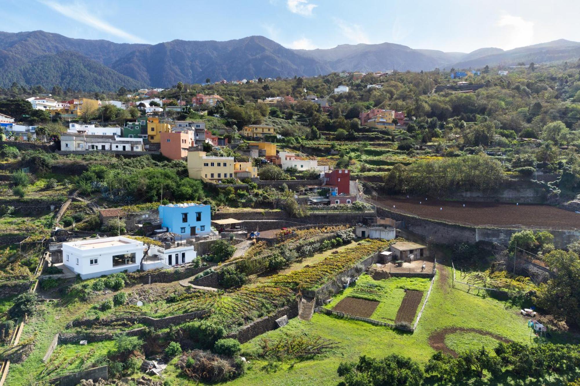 Ek Las Vistas Finca El Milagro La Orotava Εξωτερικό φωτογραφία