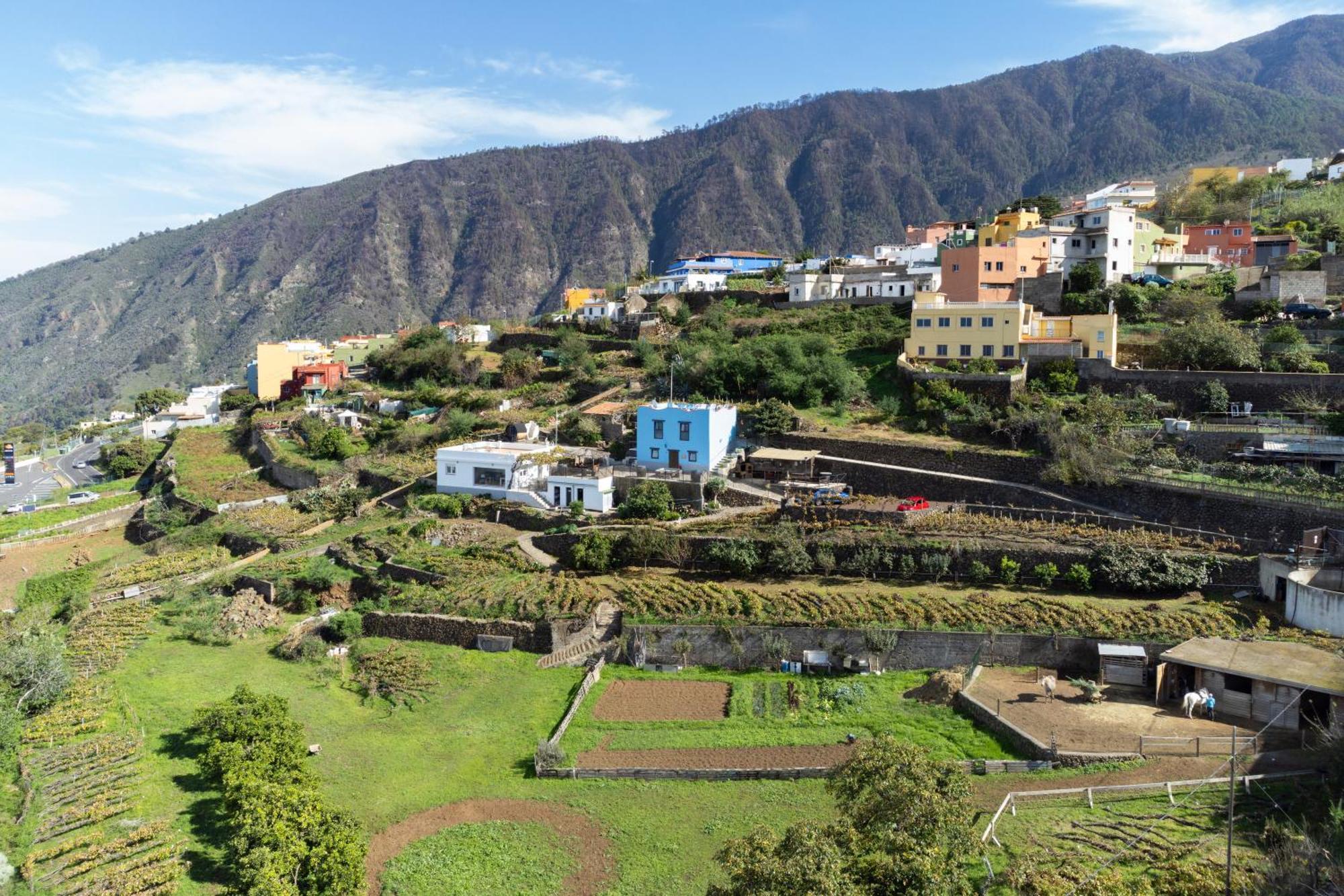 Ek Las Vistas Finca El Milagro La Orotava Εξωτερικό φωτογραφία