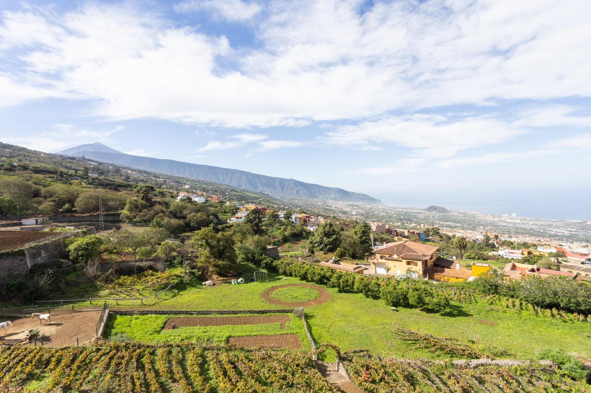 Ek Las Vistas Finca El Milagro La Orotava Εξωτερικό φωτογραφία