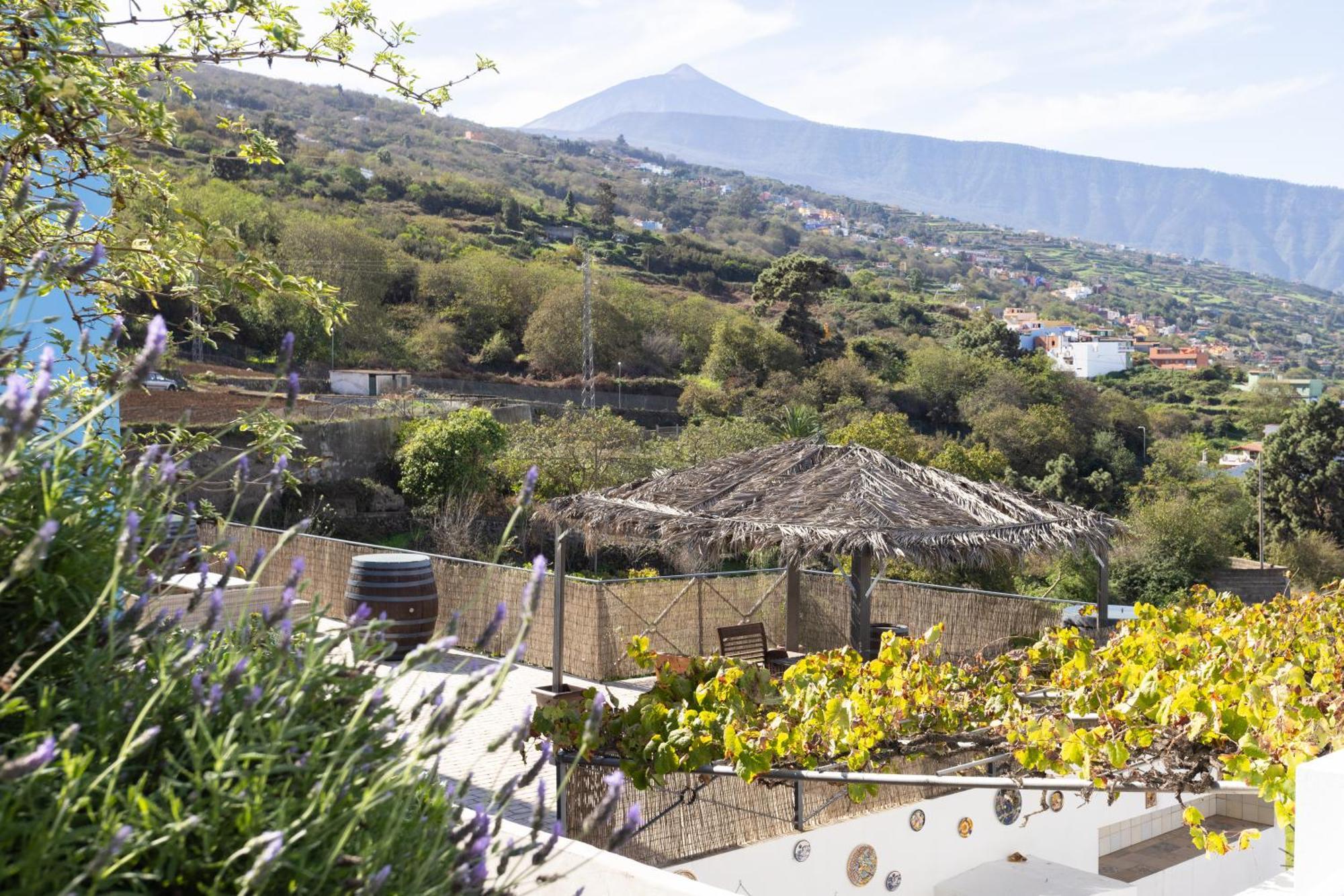 Ek Las Vistas Finca El Milagro La Orotava Εξωτερικό φωτογραφία